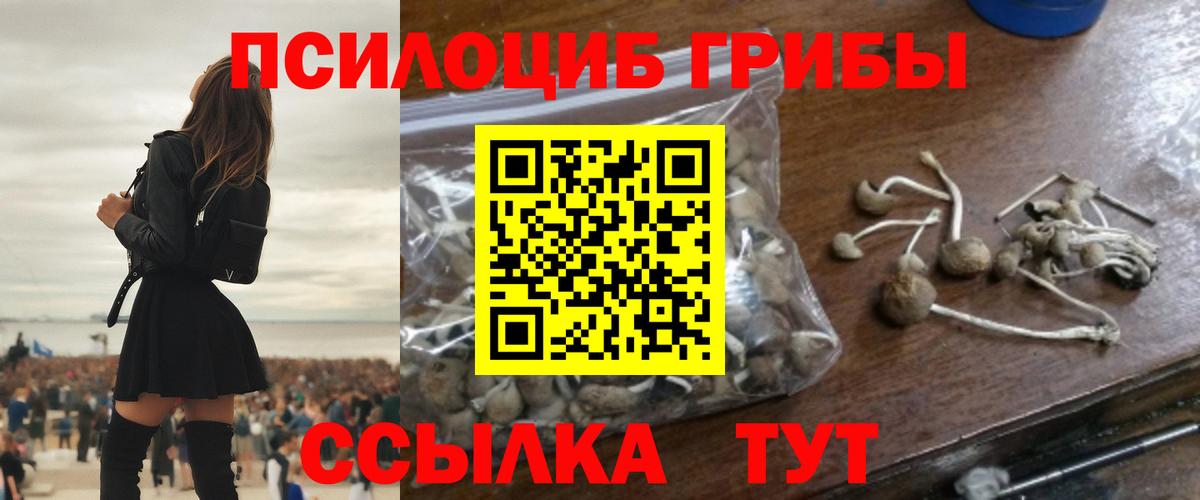 Галлюциногенные грибы мухоморы  Галлюциногенные грибы ЛСД  наркота  Вход с VPN  Кашира 